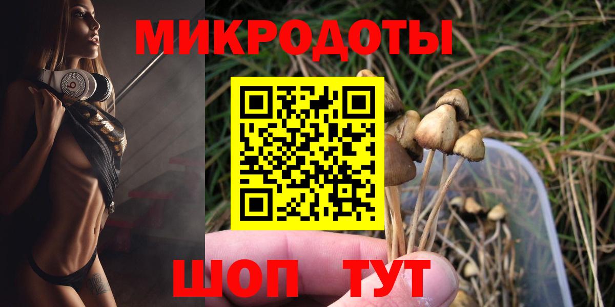 Елизово  Псилоцибиновые грибы GOLDEN TEACHER  Вход с VPN 